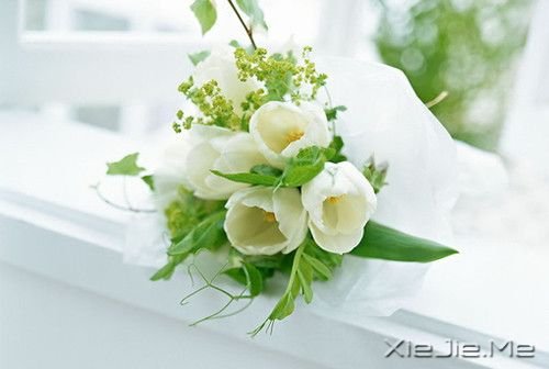 30句做人之道处事之理 (4)