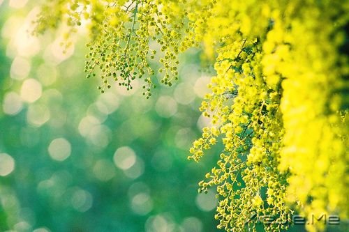 最坚强的时刻在梦里 (2)