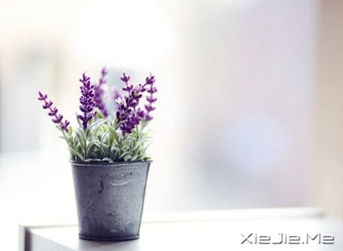 ������һ�ֵ�������� (1)