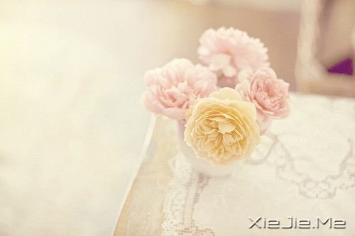 ������һ�ֵ�������� (3)