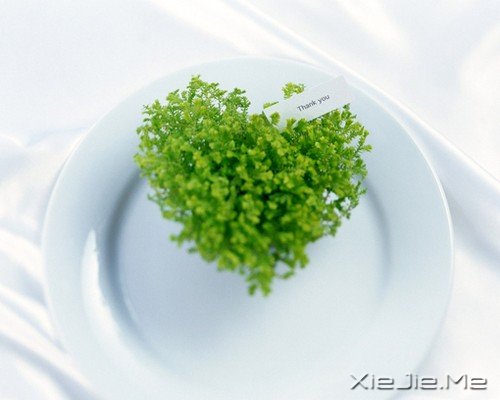 ����·����Ӧ�����׵ĵ���