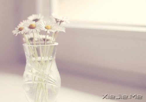 ��������Ȼ�绨�����Ҹ�