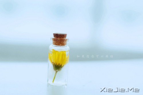 ���������Զ���